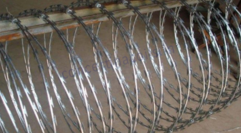 concertina-blade-wire